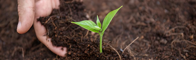Sustainability Management Approach